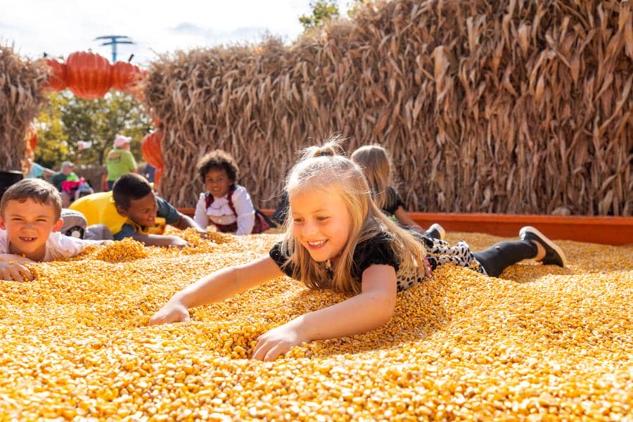 Girl at Cedar Point lays in box full of corn